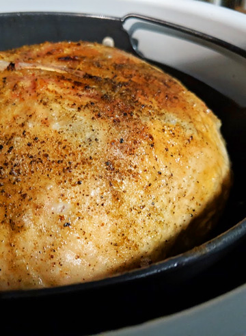 Sooo juicy. And yes, I realize that I cooked this bird upside-down...